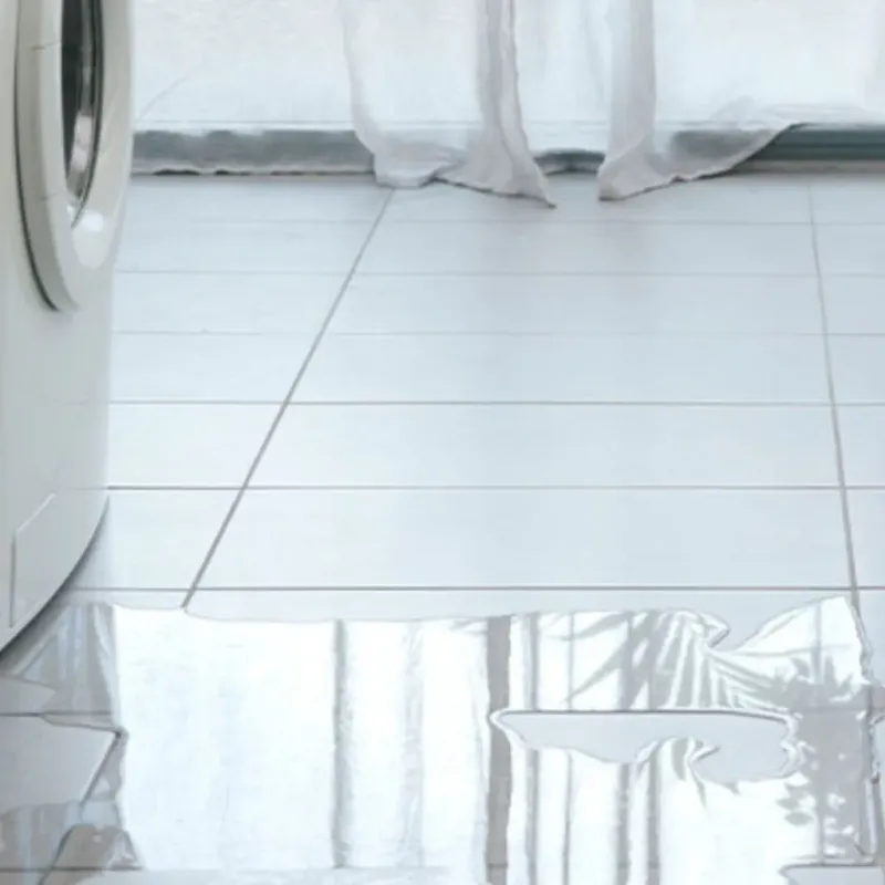 Appliance Leak Cleanup in Denver, CO
